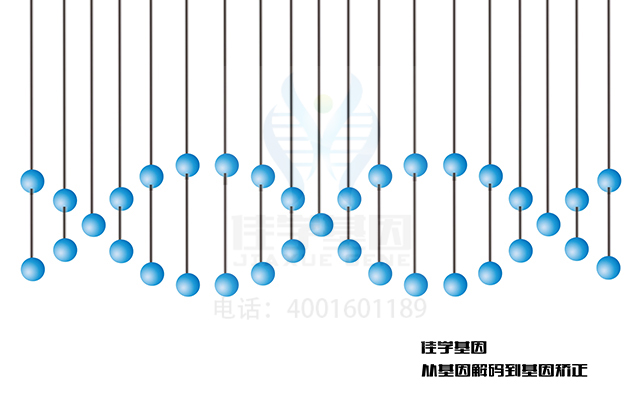 【佳學(xué)基因-基因檢測(cè)】靜息心率的增加會(huì)影響人的壽命的長(zhǎng)短？