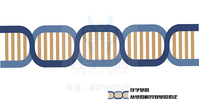 【佳學(xué)基因檢測】需要多長時間可以拿MASP2缺陷基因解碼、<a href=http://m.touyanshe.cn/tk/jiema/cexujishu/2021/31933.html>基因檢測</a>報告？