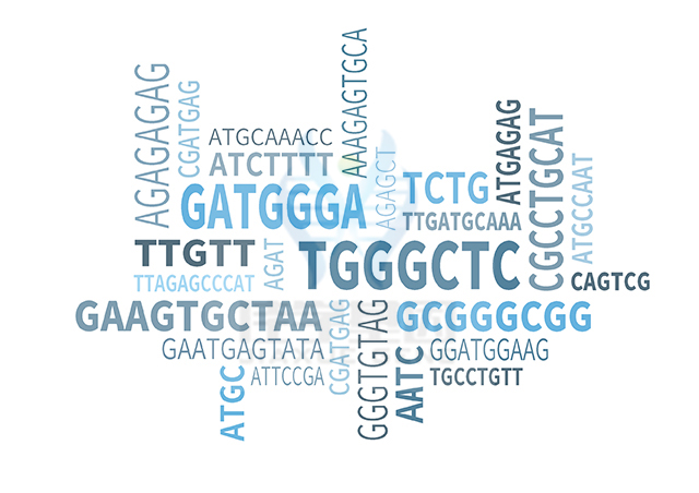 【佳學基因檢測】為什么要做<font color='red'>BHD</font>基因檢測有什么好處？