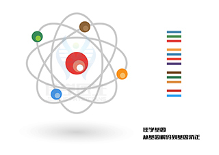 【佳學(xué)基因-基因檢測(cè)】做了基因檢測(cè)以后可以提供治療方案嗎？