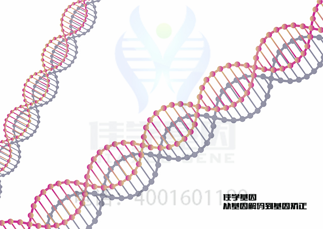 【佳學(xué)基因檢測】腎性尿崩癥常染色體基因解碼、<a href=http://m.touyanshe.cn/tk/jiema/cexujishu/2021/31933.html>基因檢測</a>的報(bào)告有人解讀嗎？