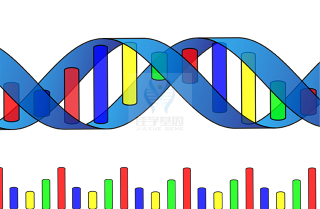 【佳學(xué)基因檢測】CHILD綜合征基因解碼、<a  data-cke-saved-href=http://m.touyanshe.cn/tk/jiema/cexujishu/2021/31933.html href=http://m.touyanshe.cn/tk/jiema/cexujishu/2021/31933.html>基因檢測</a>有什么用？