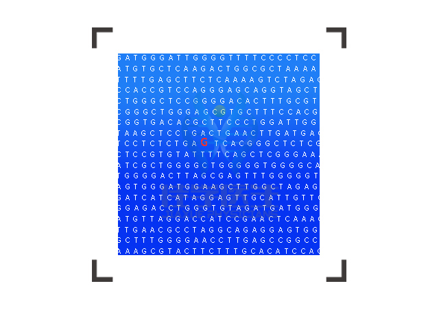 【佳學(xué)基因檢測】神經(jīng)母細(xì)胞瘤2型基因解碼、<a  data-cke-saved-href=http://m.touyanshe.cn/tk/jiema/cexujishu/2021/31933.html href=http://m.touyanshe.cn/tk/jiema/cexujishu/2021/31933.html>基因檢測</a>報告看得懂嗎？