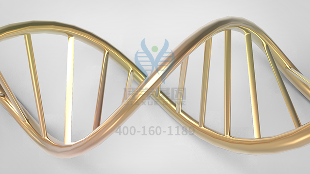 【佳學(xué)基因檢測】視網(wǎng)膜色素變性9型基因解碼、基因檢測的報告看得懂嗎？