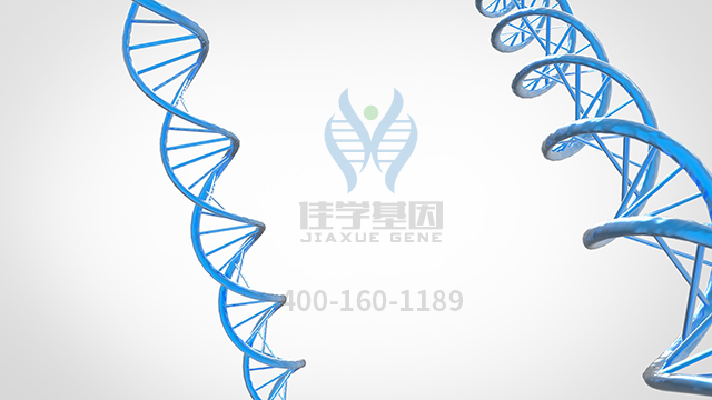 【佳學(xué)基因檢測(cè)】<font color='red'><font color='red'>乳糜</font><font color='red'>微粒</font><font color='red'>潴留</font></font>病基因解碼、基因檢測(cè)可以只做基因檢測(cè)嗎？