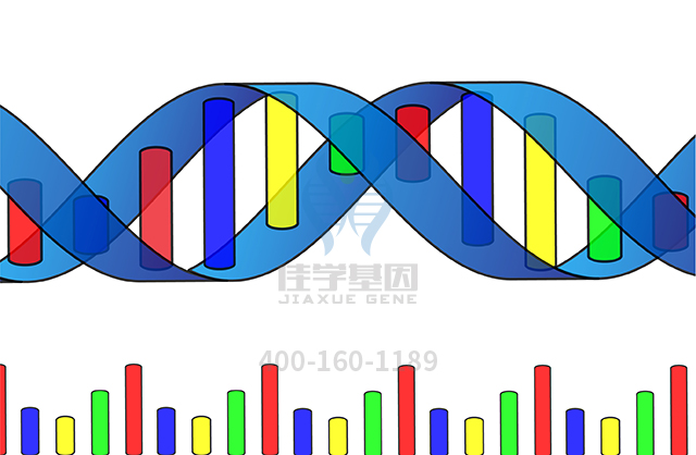 【佳學(xué)基因檢測(cè)】什么人要做DOLK先天性糖基化病基因解碼、<a  data-cke-saved-href=http://m.touyanshe.cn/tk/jiema/cexujishu/2021/31933.html href=http://m.touyanshe.cn/tk/jiema/cexujishu/2021/31933.html>基因檢測(cè)</a>？