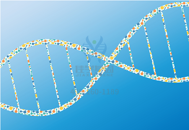 【佳學(xué)基因-基因檢測(cè)】為什么基因解碼在查找疾病原因基因檢測(cè)上更有優(yōu)勢(shì)？