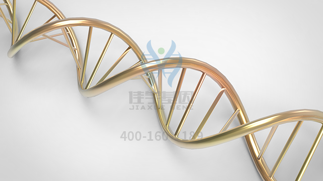 【佳學基因檢測】做孔源性視網(wǎng)膜脫離常染色體顯性基因解碼、<a href=http://m.touyanshe.cn/tk/jiema/cexujishu/2021/31933.html>基因檢測</a>的費用是多少？