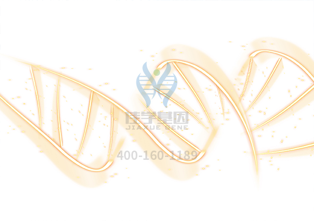 【佳學(xué)基因檢測】怎樣選擇SCIANNA血型系統(tǒng)SC：-12基因解碼、<a href=http://m.touyanshe.cn/tk/jiema/cexujishu/2021/31933.html>基因檢測</a>？