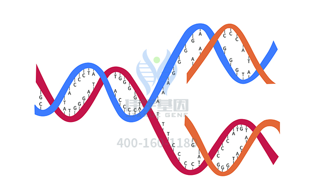 【佳學基因檢測】PCR突變檢測ATP5F1E基因有突變，如何解讀？