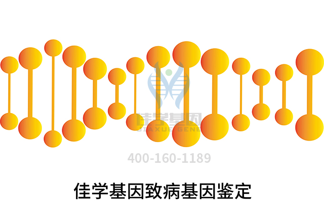 【佳學(xué)基因檢測】做Pelizaeus-Merzbacher病輕微基因解碼、<a href=http://m.touyanshe.cn/tk/jiema/cexujishu/2021/31933.html>基因檢測</a>需要多少錢？