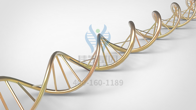 【佳學基因檢測】缺鐵性貧血基因解碼、<a href=http://m.touyanshe.cn/tk/jiema/cexujishu/2021/31933.html>基因檢測</a>報告看得懂嗎？