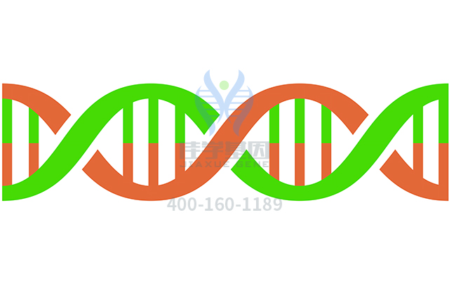 【佳學(xué)基因檢測(cè)】外胚層發(fā)育不良皮膚脆弱綜合征基因解碼、<a href=http://m.touyanshe.cn/tk/jiema/cexujishu/2021/31933.html>基因檢測(cè)</a>有什么用？